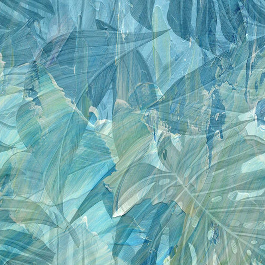 Image Only