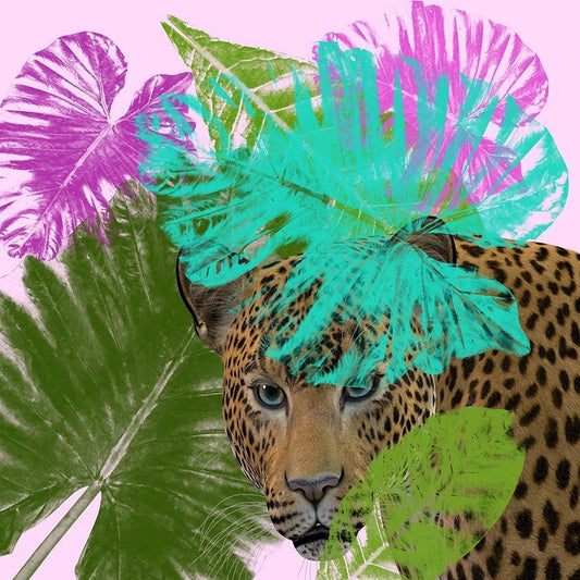 Image Only