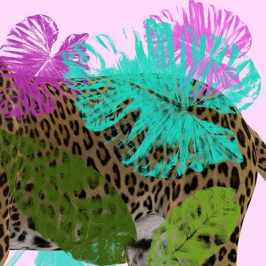 Image Only