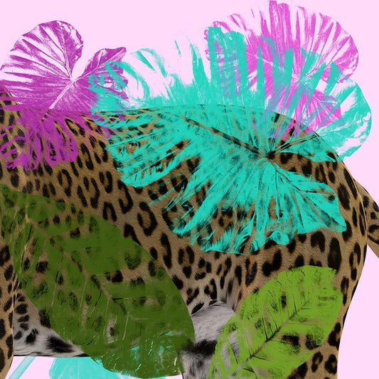 Image Only