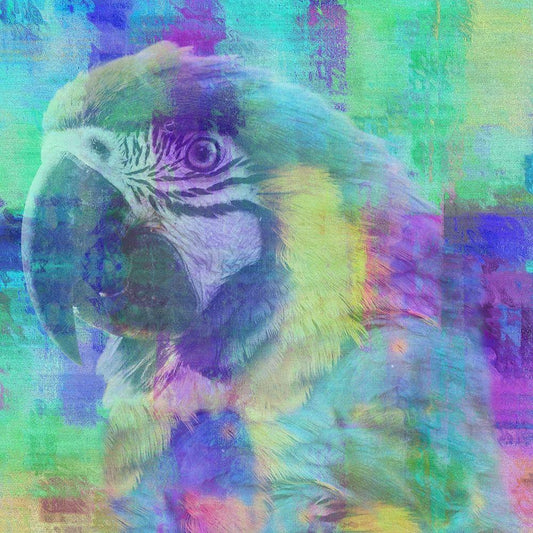 Image Only