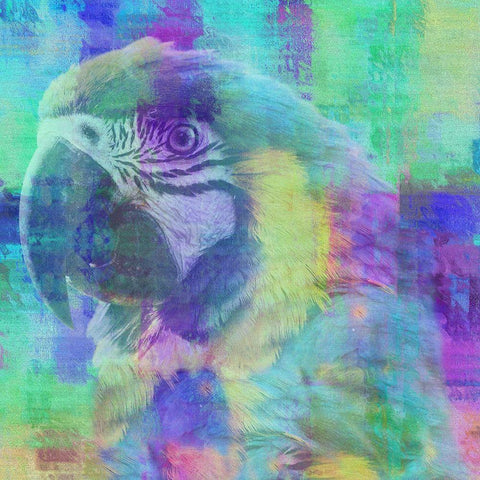 Flying Colors Black Modern Wood Framed Art Print by Phillip, Jamie