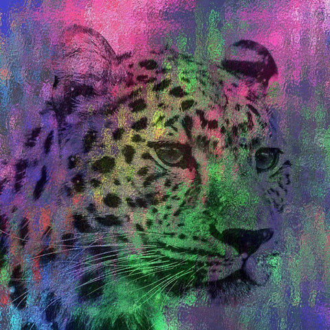 Abstract Lepard Black Ornate Wood Framed Art Print with Double Matting by Phillip, Jamie