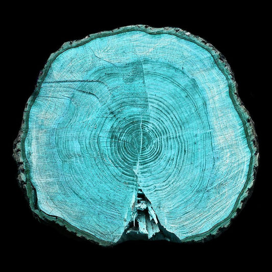 Image Only