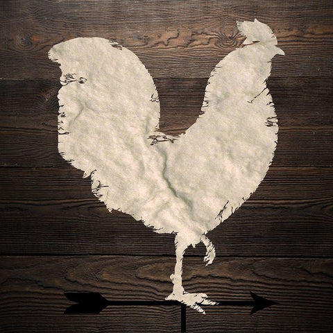 Rooster White Modern Wood Framed Art Print by Phillip, Jamie