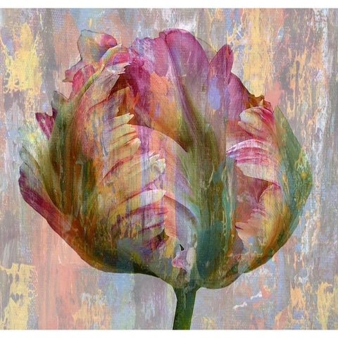 Tulip Abstract Black Modern Wood Framed Art Print with Double Matting by Phillip, Jamie