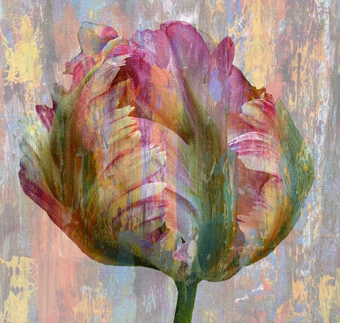 Tulip Abstract White Modern Wood Framed Art Print with Double Matting by Phillip, Jamie