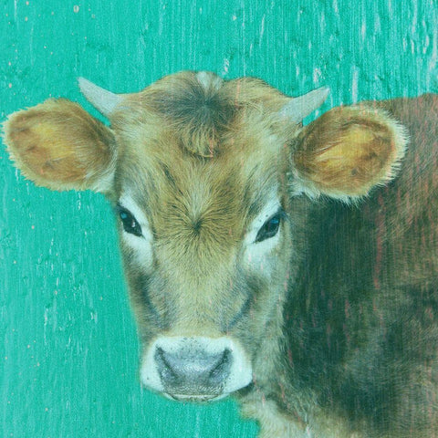 Hello Moo White Modern Wood Framed Art Print by Phillip, Jamie