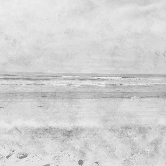 Image Only
