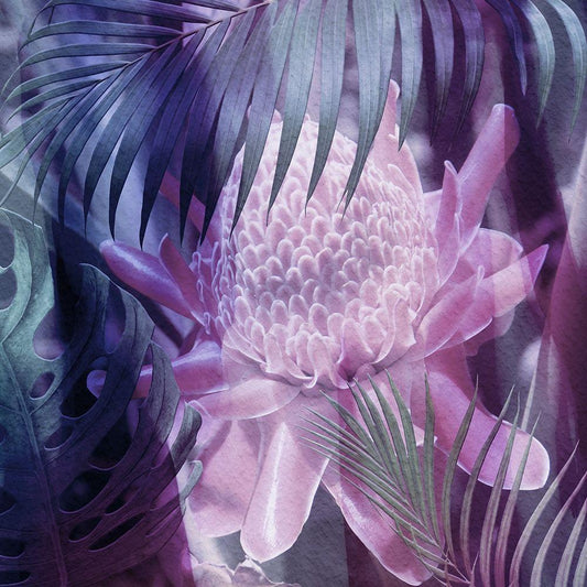 Image Only