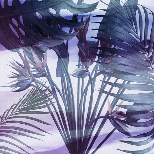 Image Only
