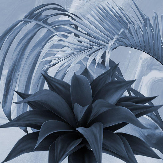 Image Only