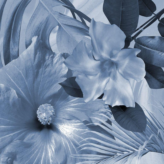 Image Only