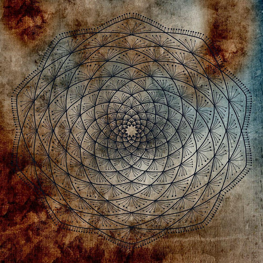 Image Only