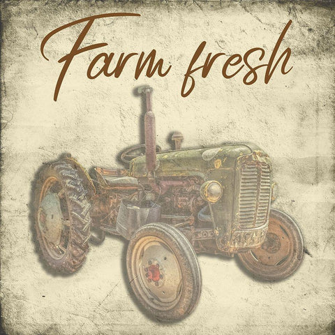 Fresh White Modern Wood Framed Art Print by Phillip, Jamie