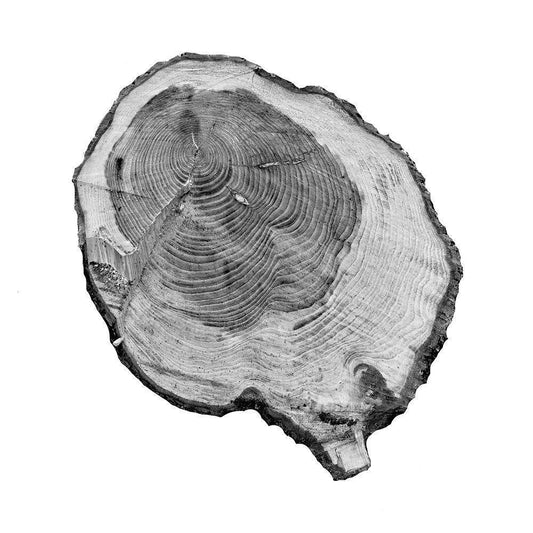 Image Only