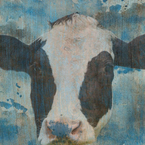 Cow On The Farm White Modern Wood Framed Art Print by Phillip, Jamie