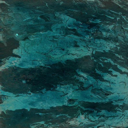Image Only