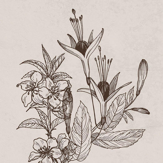Image Only