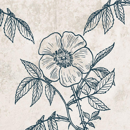 Image Only