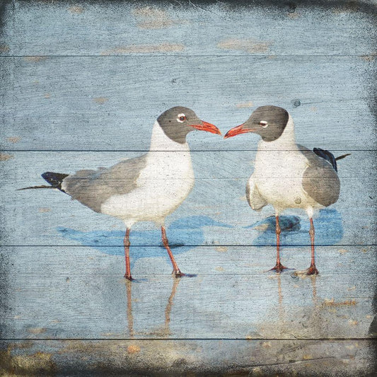 Image Only