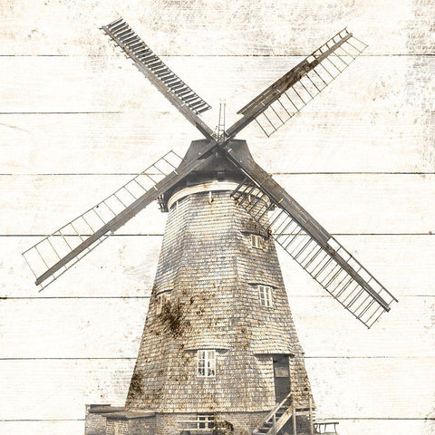 Wind Mill Black Ornate Wood Framed Art Print with Double Matting by Phillip, Jamie