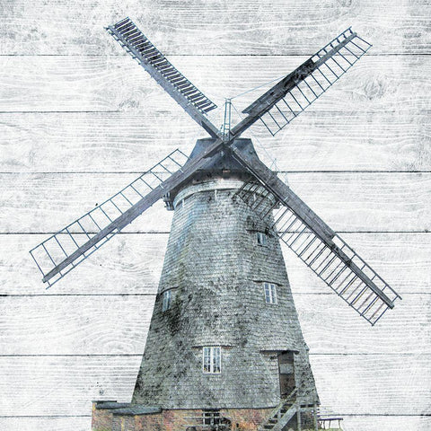 Wind Mill B Black Ornate Wood Framed Art Print with Double Matting by Phillip, Jamie