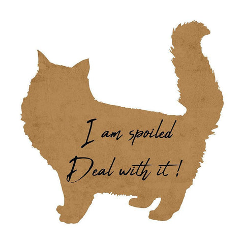 Spoiled Cat White Modern Wood Framed Art Print by Phillip, Jamie