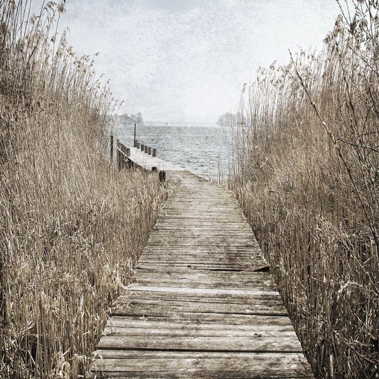 Image Only
