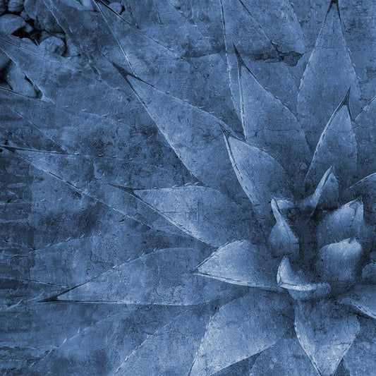 Image Only