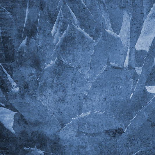 Image Only