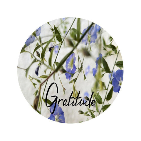 Gratitude White Modern Wood Framed Art Print by Phillip, Jamie