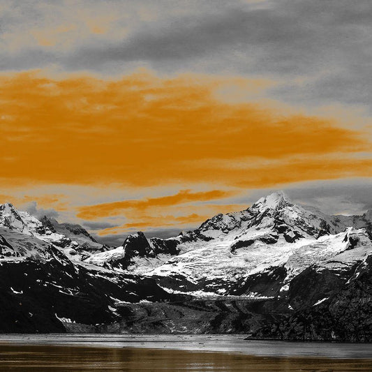 Image Only