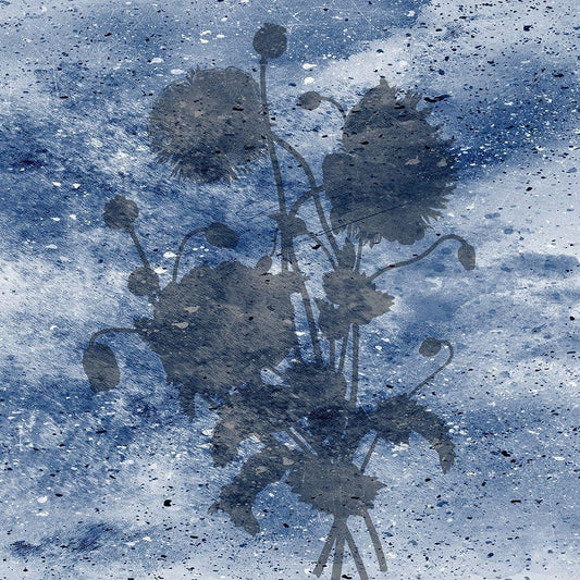 Image Only