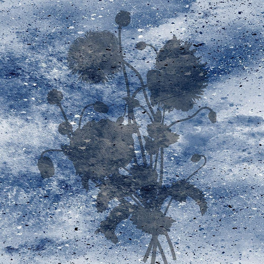 Image Only