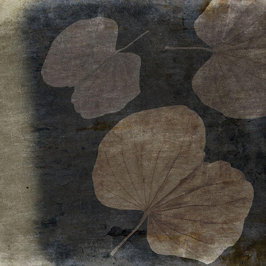 Image Only