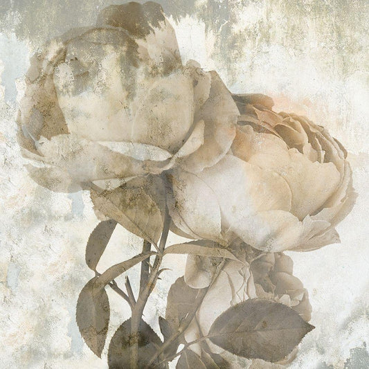 Image Only