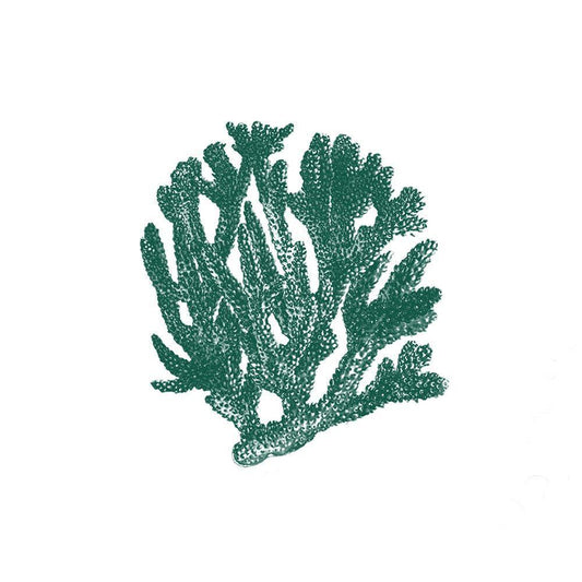 Image Only