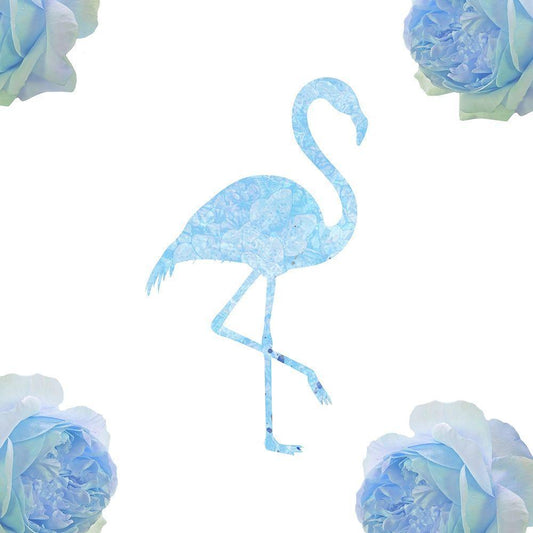 Image Only