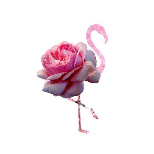 Image Only