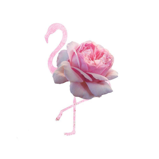 Image Only