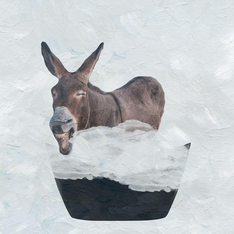 Donkey Shower White Modern Wood Framed Art Print by Phillip, Jamie