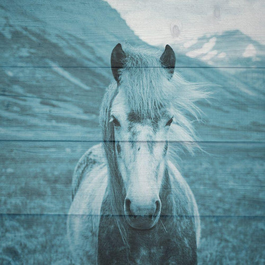 Image Only