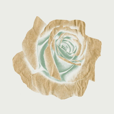 Copper Rose 1 White Modern Wood Framed Art Print by Phillip, Jamie