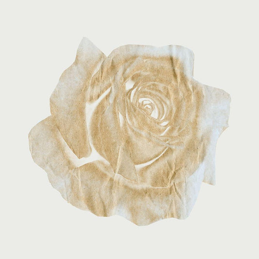 Image Only