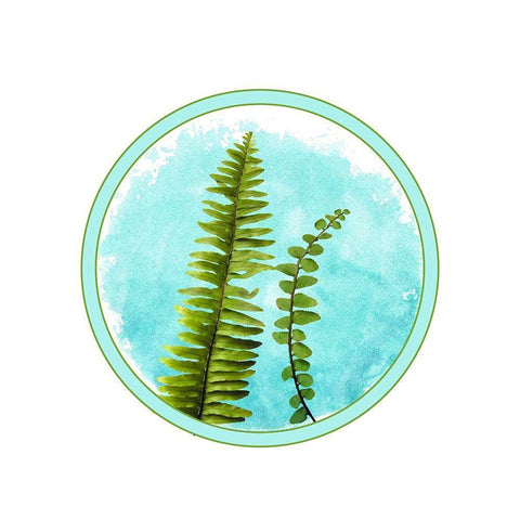 Fern Black Modern Wood Framed Art Print with Double Matting by Phillip, Jamie