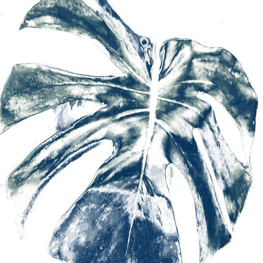 Image Only