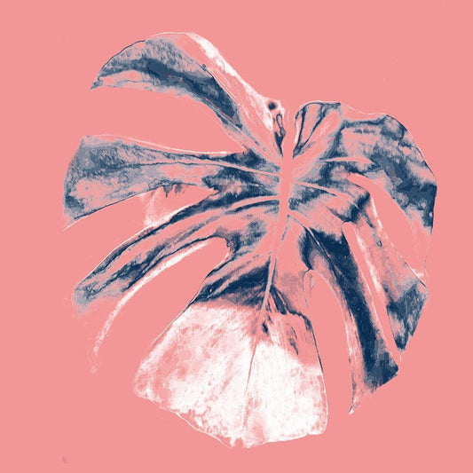 Image Only