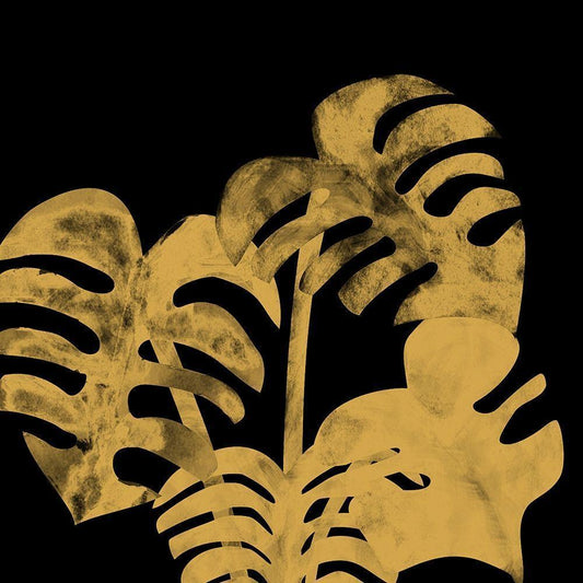 Image Only