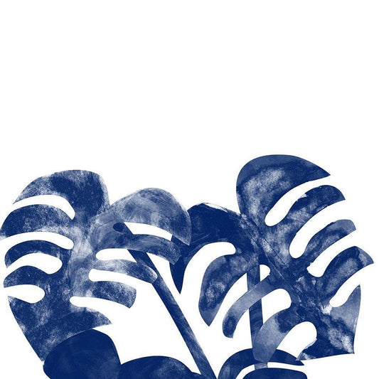 Image Only
